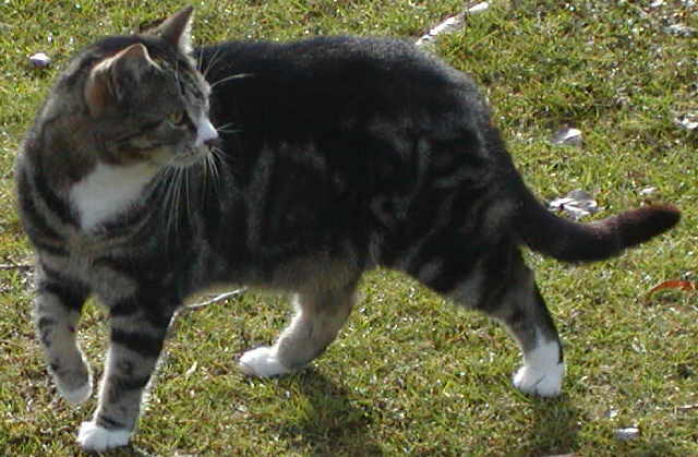 Buster