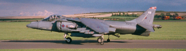 Harrier